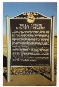 Image description is not available for PHO-264-893